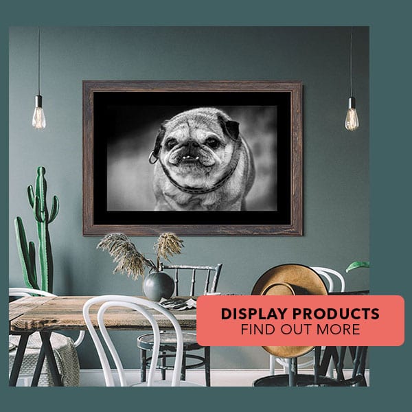 Dog Portraits Frames Prints Canvas Dog Display Products