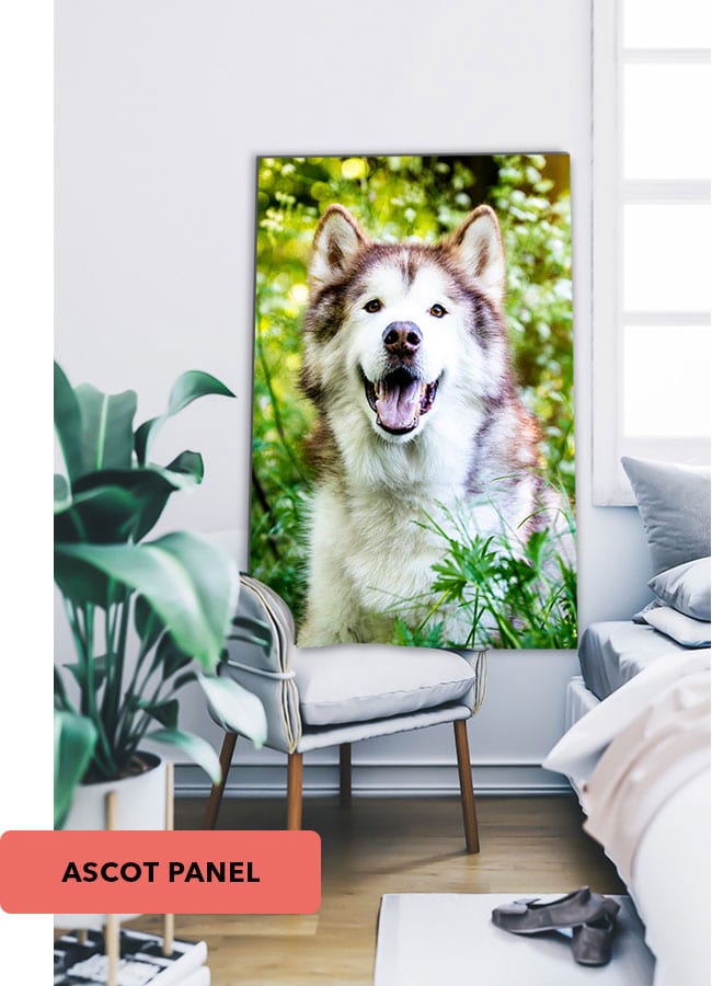 Display Aluminium Panel Dog Portraits