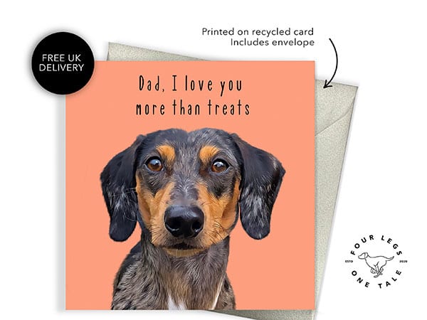 Funny Dog Cards for Christmas Birthday Father’s & Mother’s Day