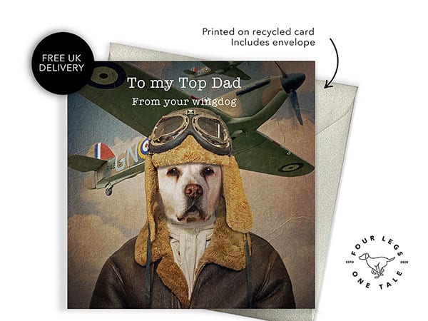 Funny Dog Cards for Christmas Birthday Father’s & Mother’s Day