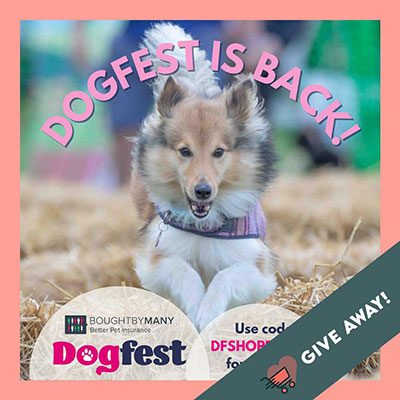 DogFest is back