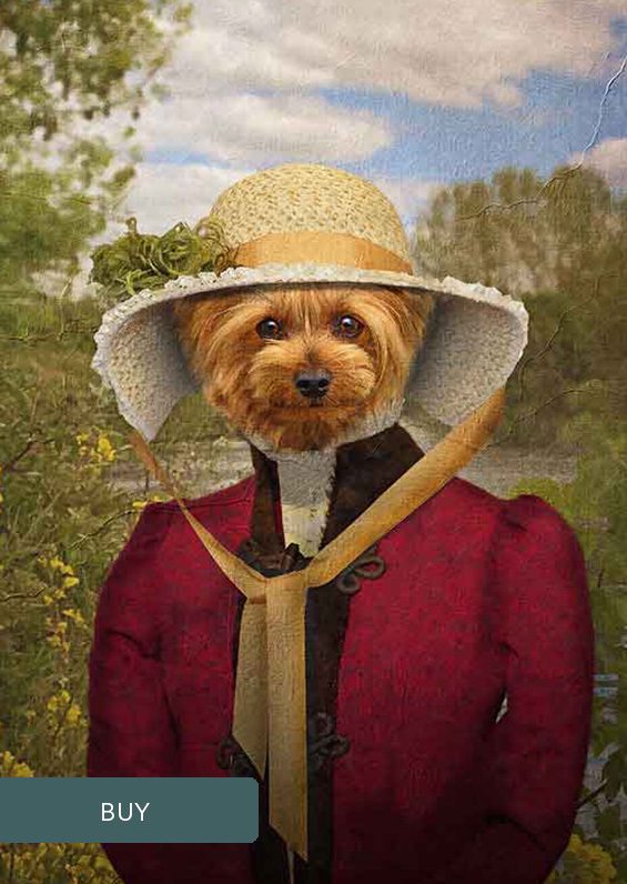 Custom Pet Dog Portraits From TV Film Novels Jane Austen