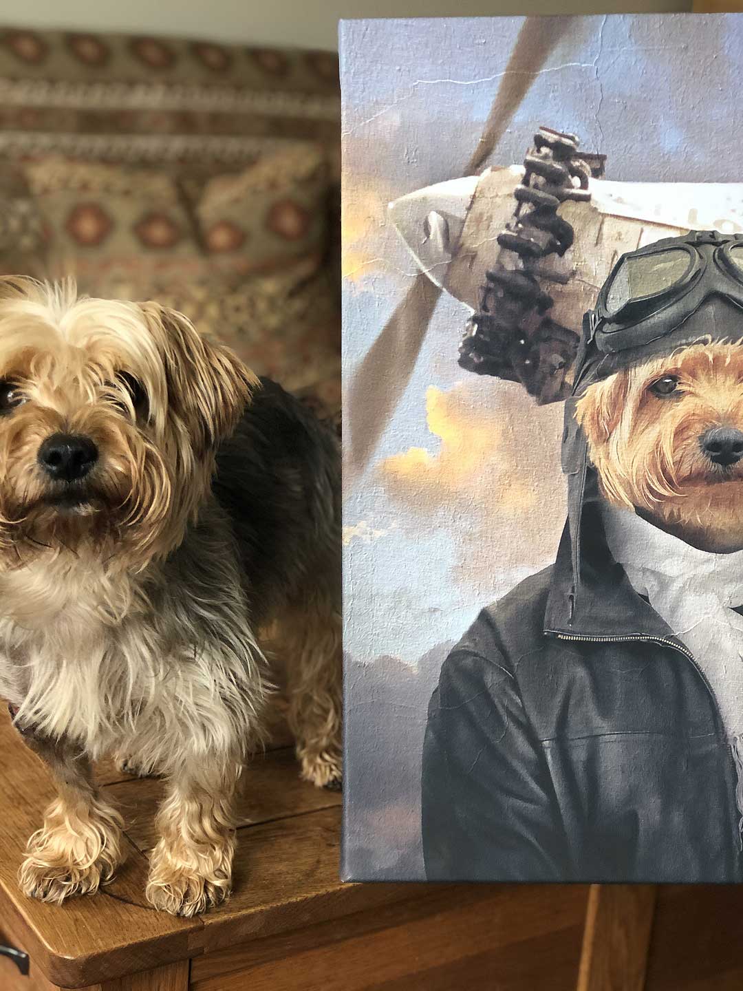 Reviews For Custom Pet Dog Portraits