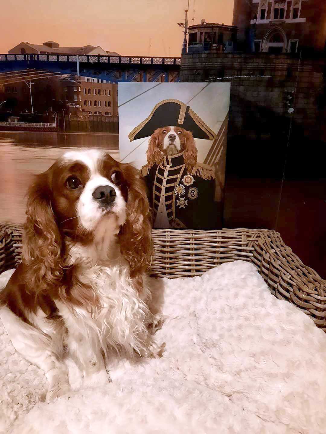 Reviews For Custom Pet Dog Canvas Portraits