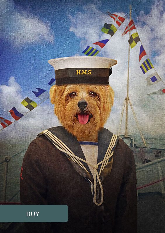 Sailor Custom Military Personalised Renaissance Pet Dog Portraits On Canvas