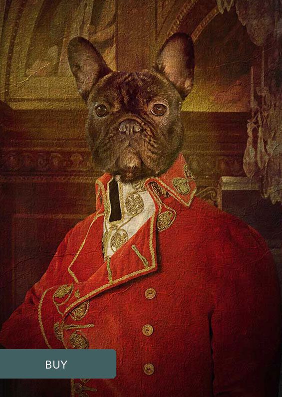 Napoleon Bonaparte Custom Military Personalised Renaissance Pet Dog Portraits On Canvas