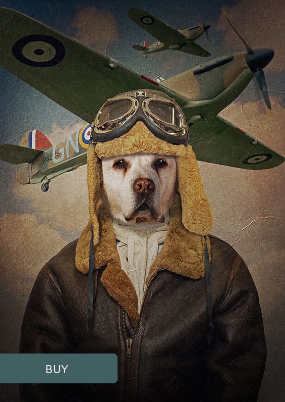 RAF Pilot Custom Military Personalised Pet Dog Portraits On Canvas