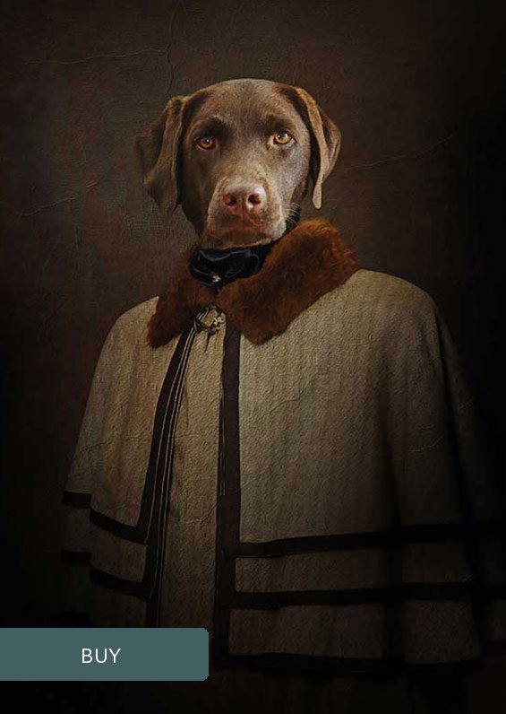 Victorian Gentleman Custom Personalised Renaissance Pet Dog Portraits On Canvas