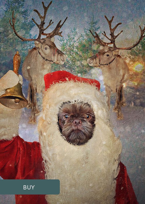 Santa Claus Custom Personalised Renaissance Pet Dog Portraits On Canvas