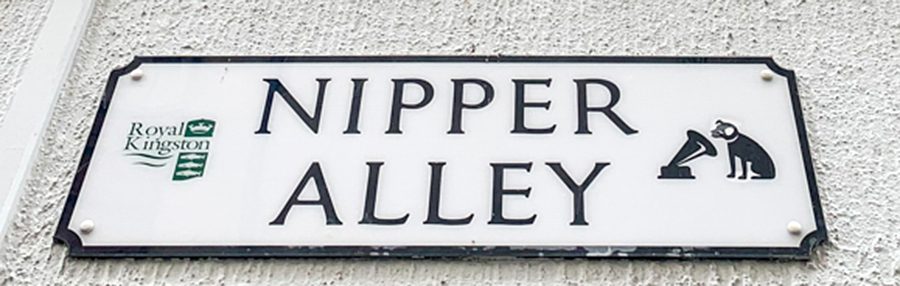 Nipper Alley Kingston HMV Dog