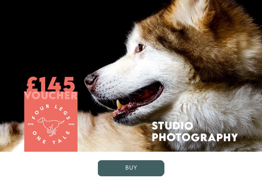 Gift Vouchers Dog Photography