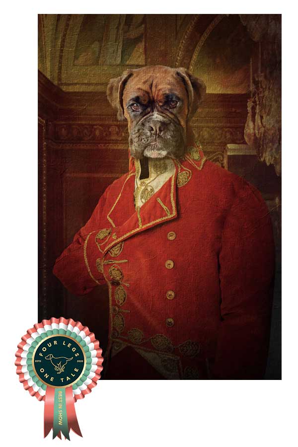 Custom Boxer Dog Portraits