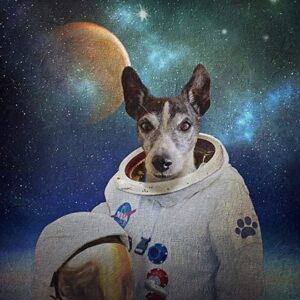 Astronaut Custom Pet Canvas