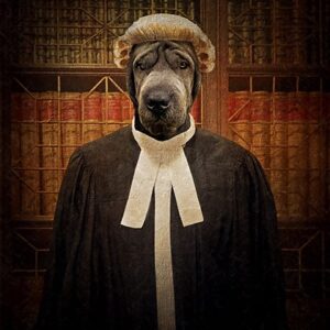 Barrister Custom Pet Dog Canvas