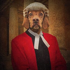 Judge Custom Pet Dog Canvas