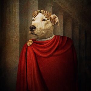 Julius Caesar Pet Dog Canvas