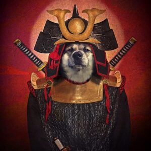 Samurai Custom Pet Dog Canvas