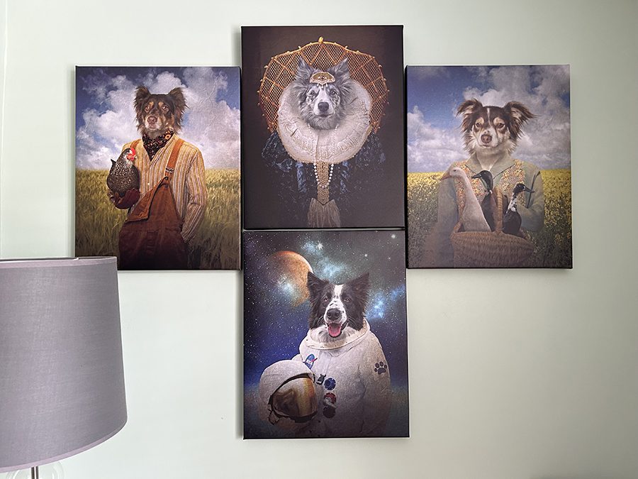 Custom Dog Canvasses