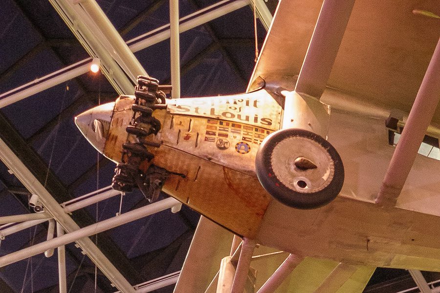 Custom Dog Portraits